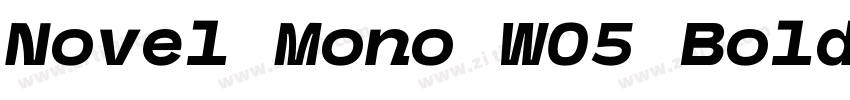 Novel Mono W05 Bold字体转换